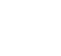 brand-logo-4-overlay